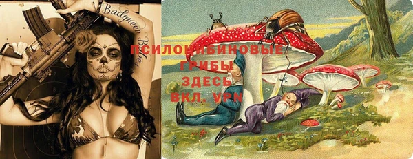 бошки Михайлов
