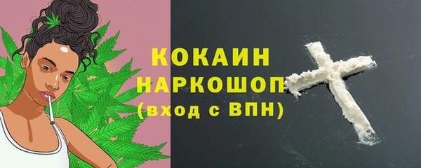 СК Медвежьегорск