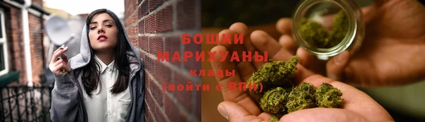 СК Медвежьегорск