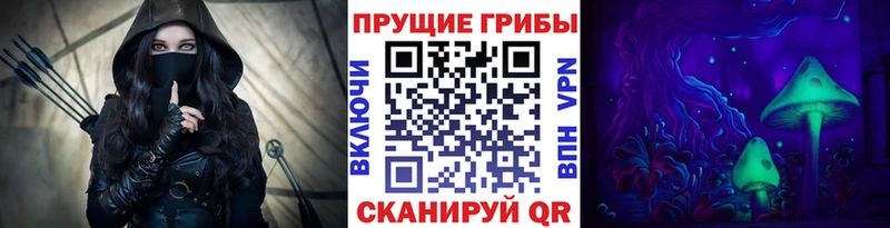 купить   Власиха  Галлюциногенные грибы мицелий 