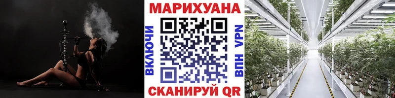 kraken ONION  наркошоп  Власиха  Каннабис тримм 